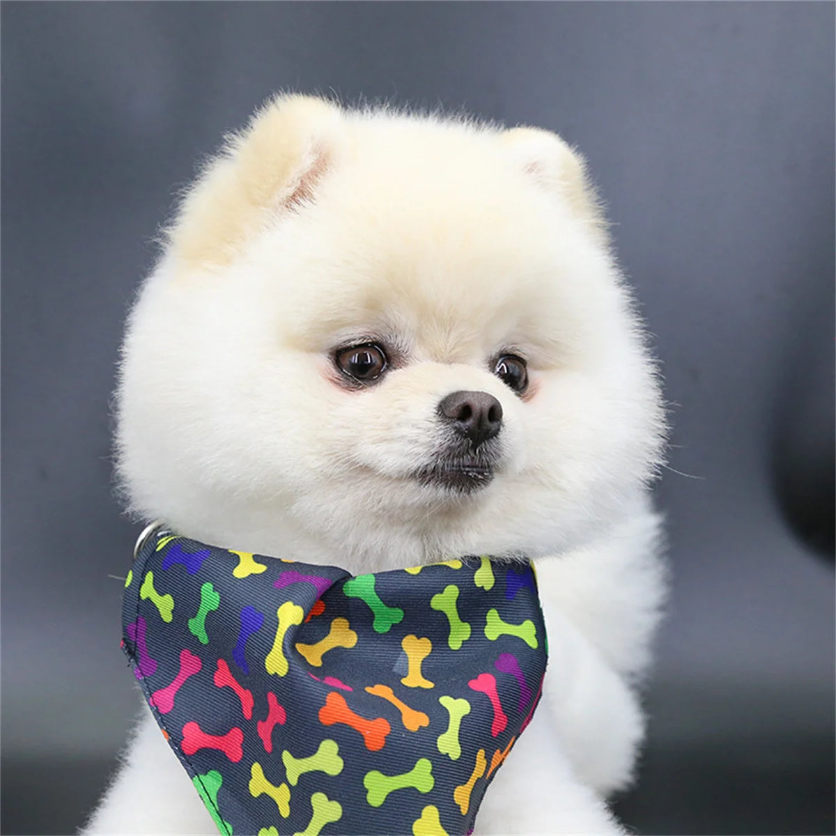 Pet Saliva Towel Adjustment Cute Cartoon Bear Weaved Dog Cat Collar Bib Grooming Arc Design Dog Scarf for Girl Small Dogs Cats