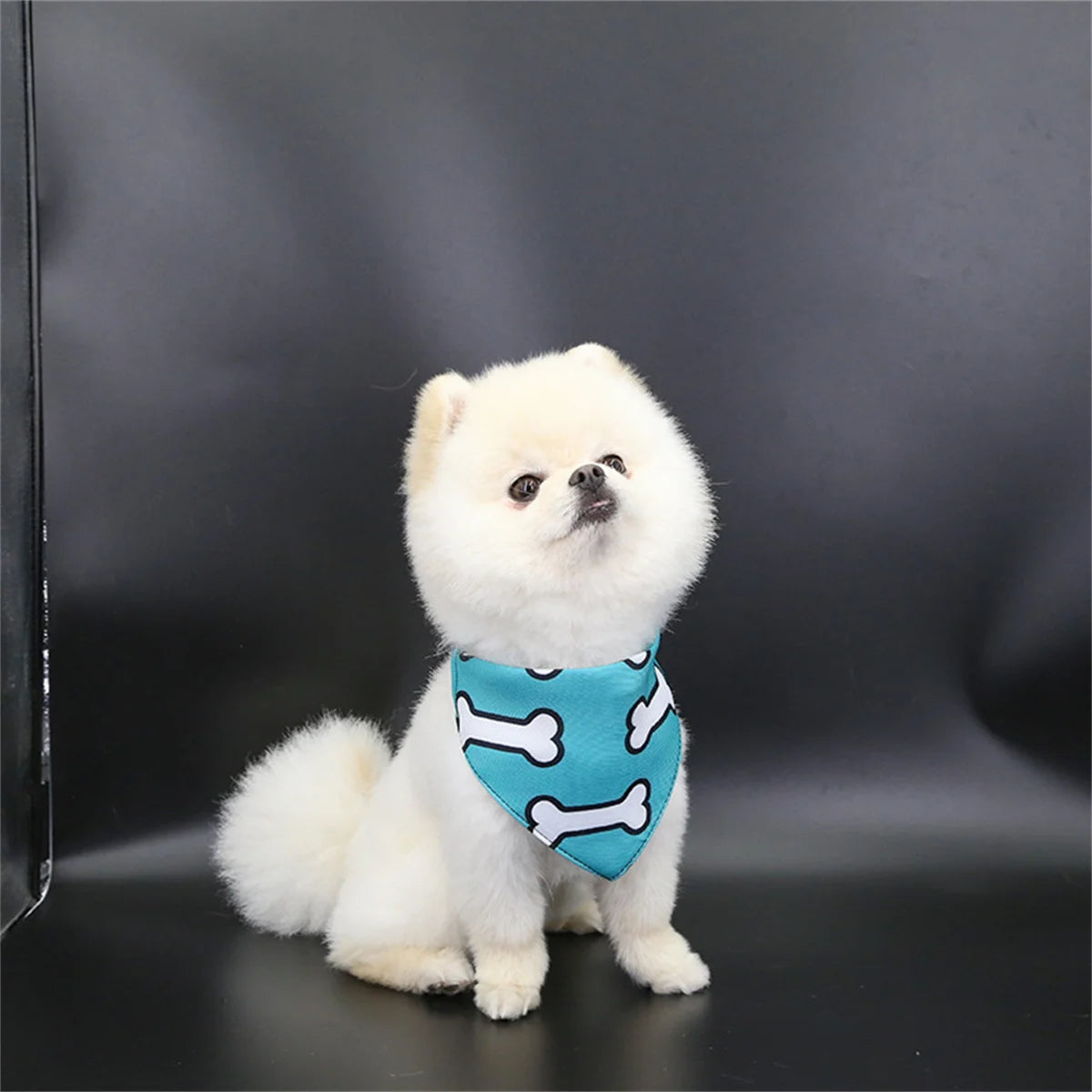 Pet Saliva Towel Adjustment Cute Cartoon Bear Weaved Dog Cat Collar Bib Grooming Arc Design Dog Scarf for Girl Small Dogs Cats